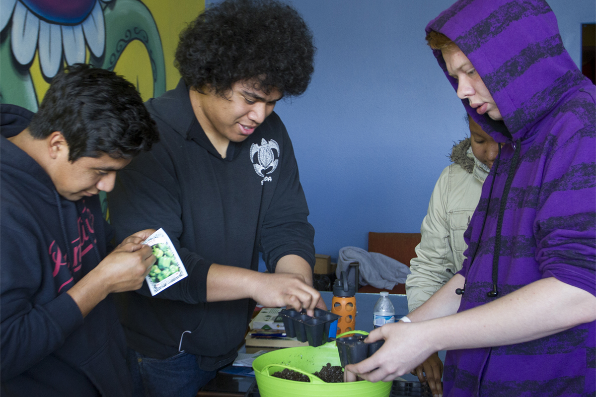 Four students planting seeds in a pot at an off campus event